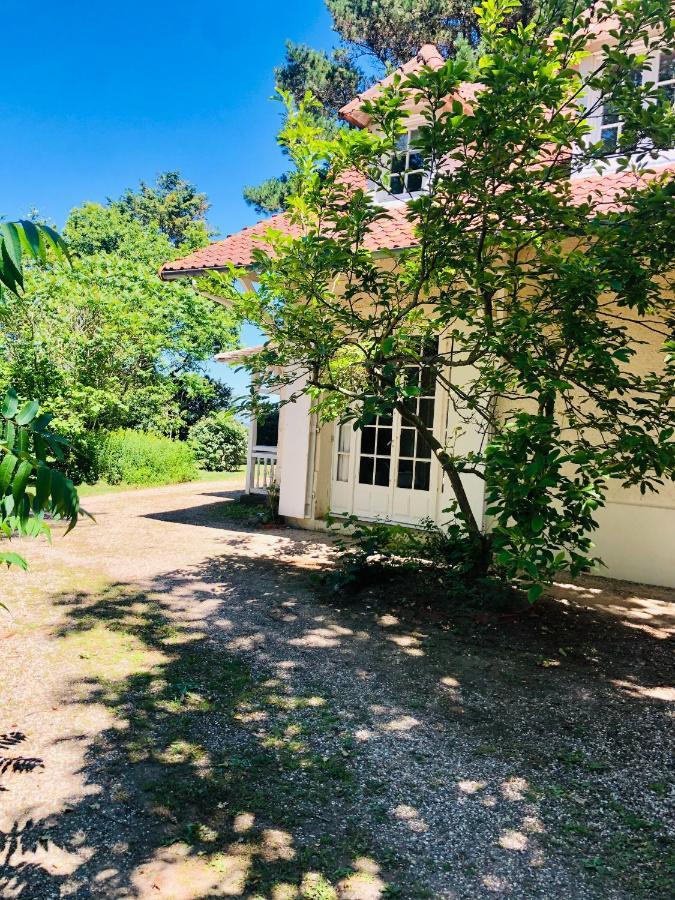 Villa Vue Mer Avec Acces Direct A La Plage Varengeville-sur-Mer Exterior foto